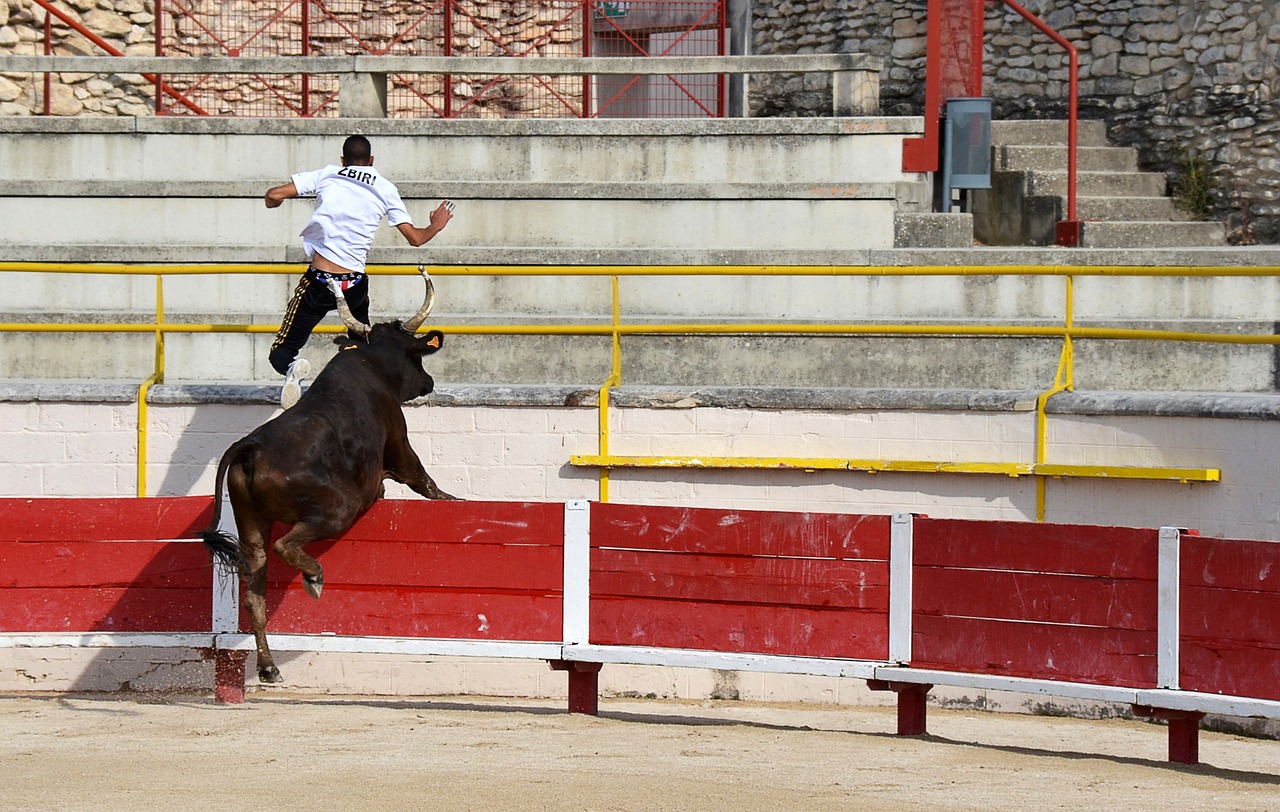 前分析對手