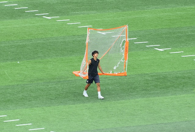 这些闪耀在